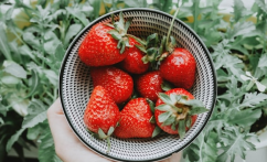 Fresh Strawberry